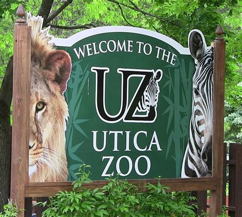 Utica zoo - Utica Zoo is the perfect destination to bring your family, friends, or that special someone. Catch a California sea lion feeding, or visit the adorable endangered red pandas. Listen to the roar of the majestic African lions, or take a hike on our wooded North Trek nature trail. 